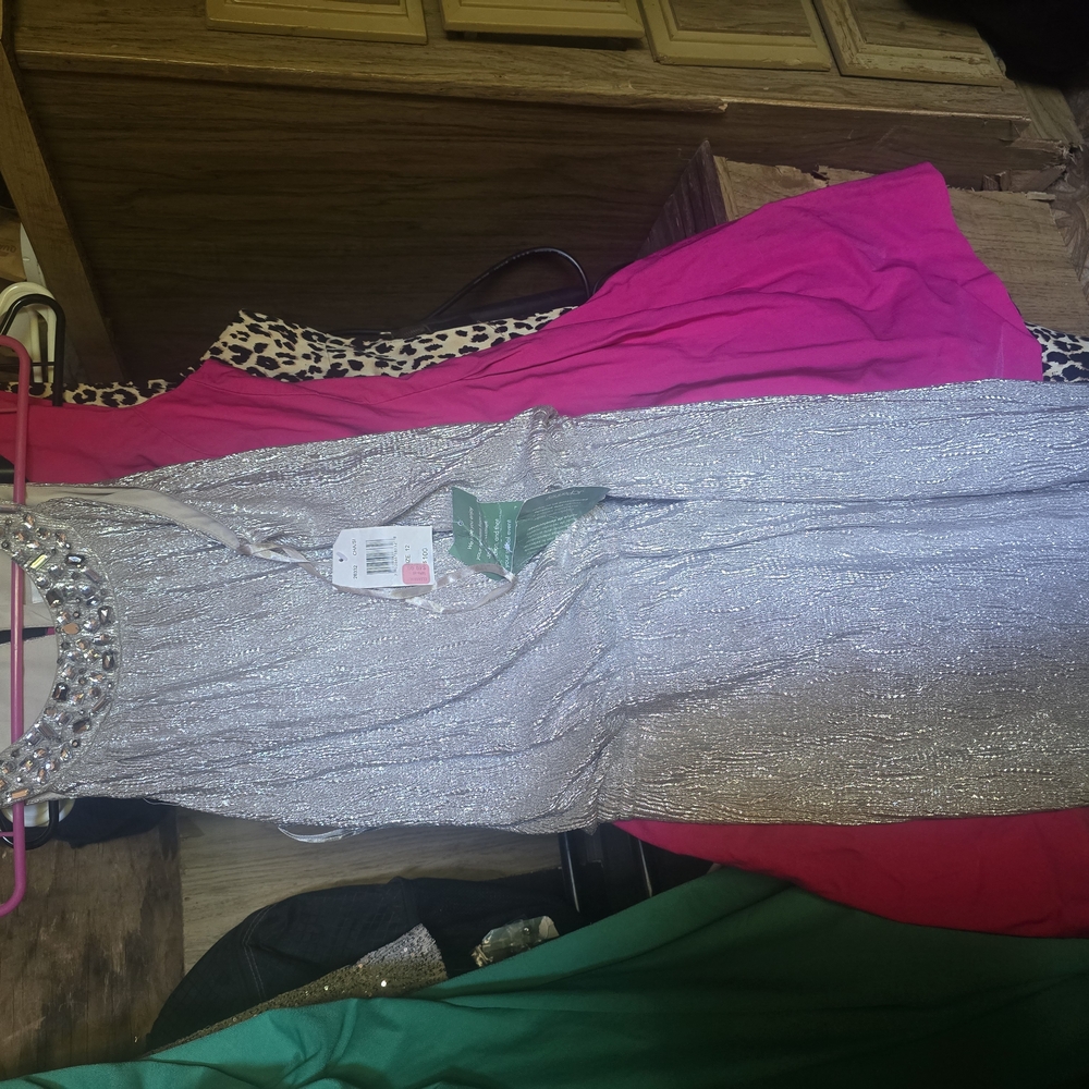 Silver Beaded Dress - Picture 1 of 1